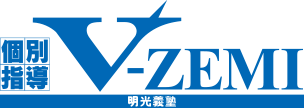V-ZEMI