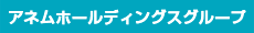 アネムホールディングスグループ